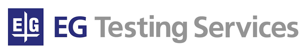 EGテスティングサービス、ローコード開発の"その後"を支える新BPaaSを開始