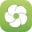 oxalis