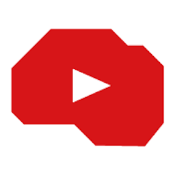 Video BRAIN