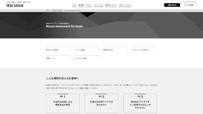 Marsys Assessment for GenAI​のスクリーンショット