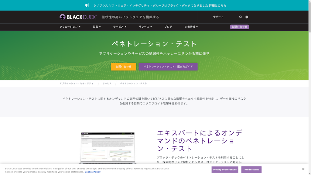マネージド・ペネトレーション・テストのスクリーンショット