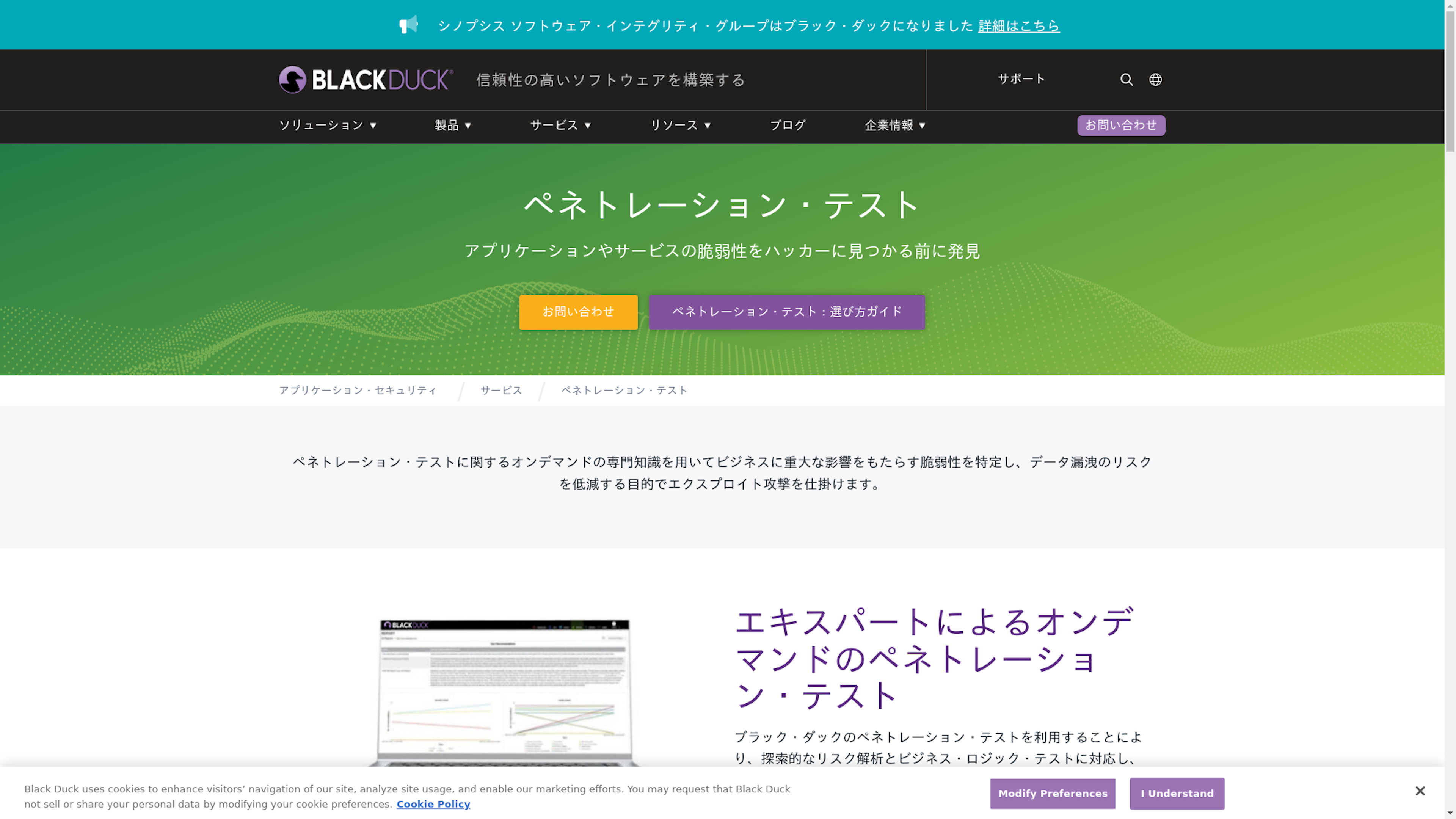 マネージド・ペネトレーション・テストのスクリーンショット