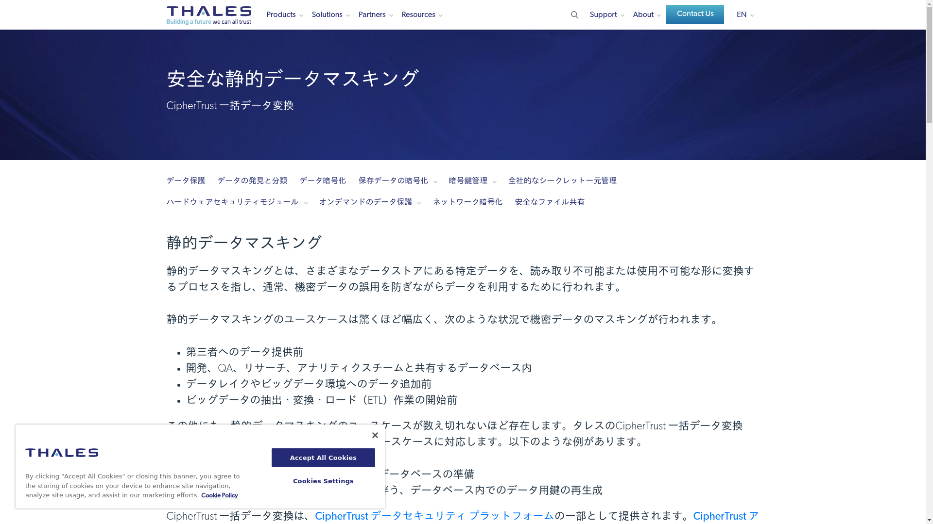 静的データマスキングのスクリーンショット