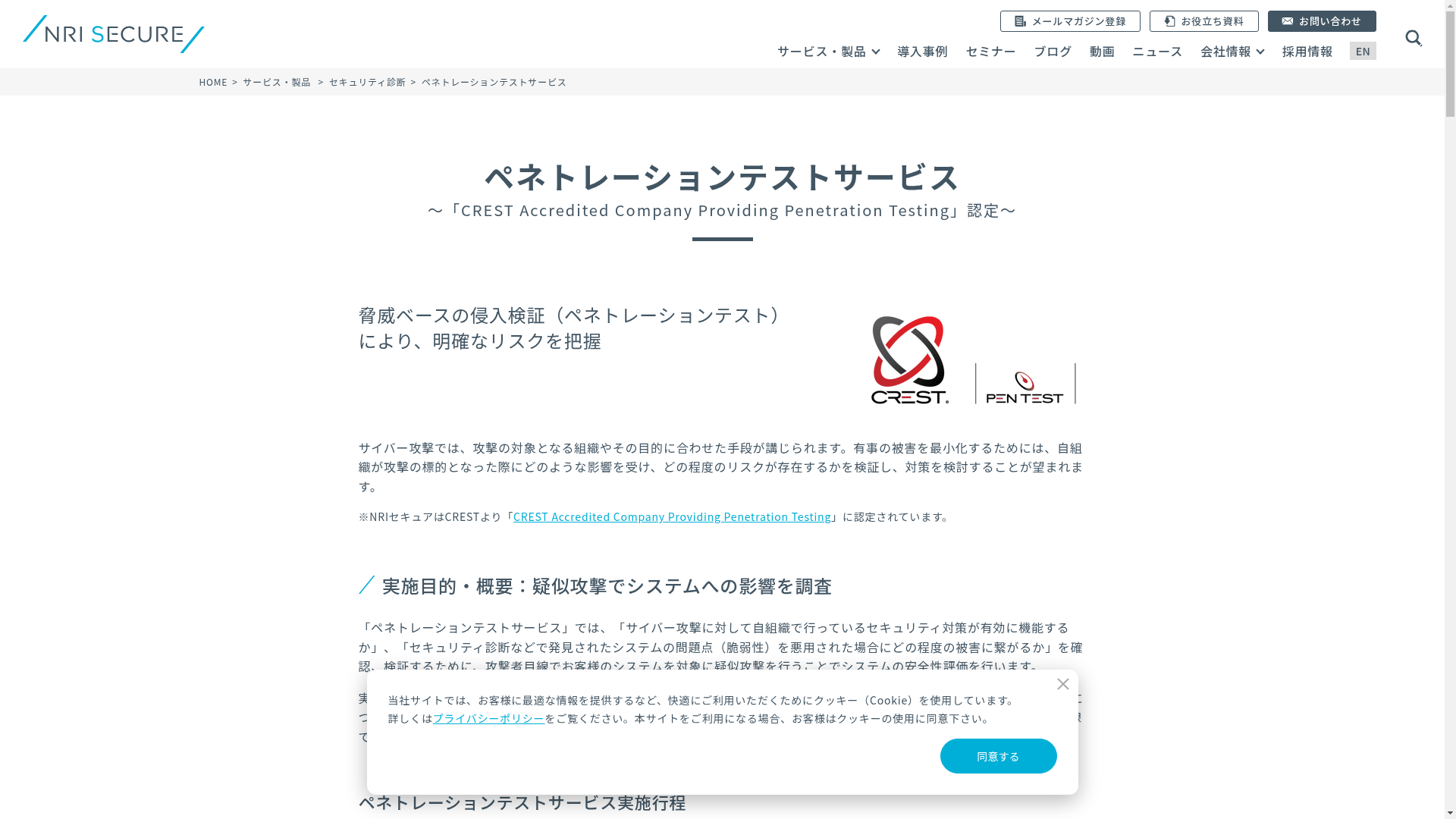 ペネトレーションテストサービスのスクリーンショット